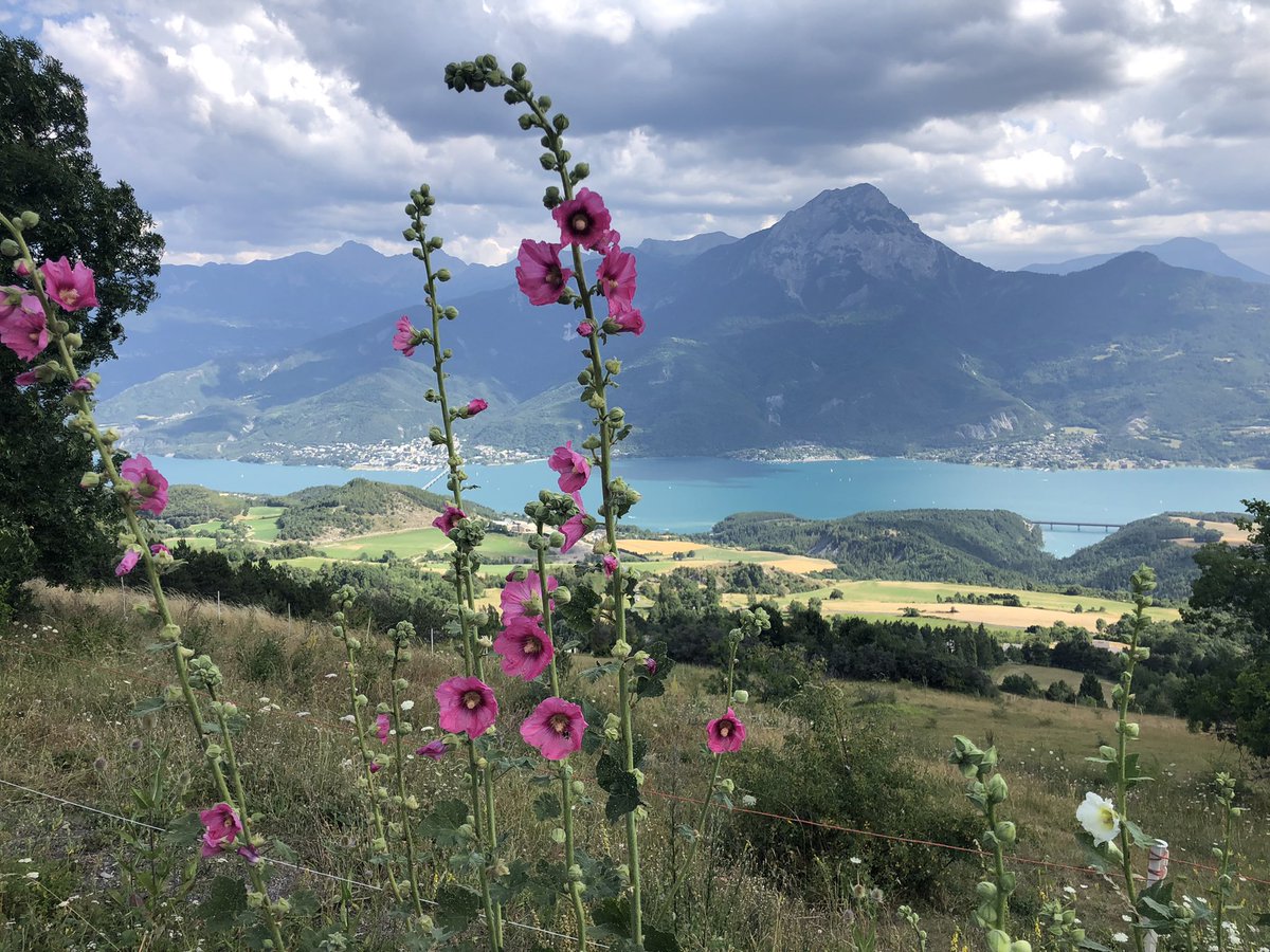 Deze week 65 km met 1700 hm hardgelopen🇫🇷⛰💪🏼, op naar 4/9/21 #alpentocht #valthorens #cliniclowns #hardlopen