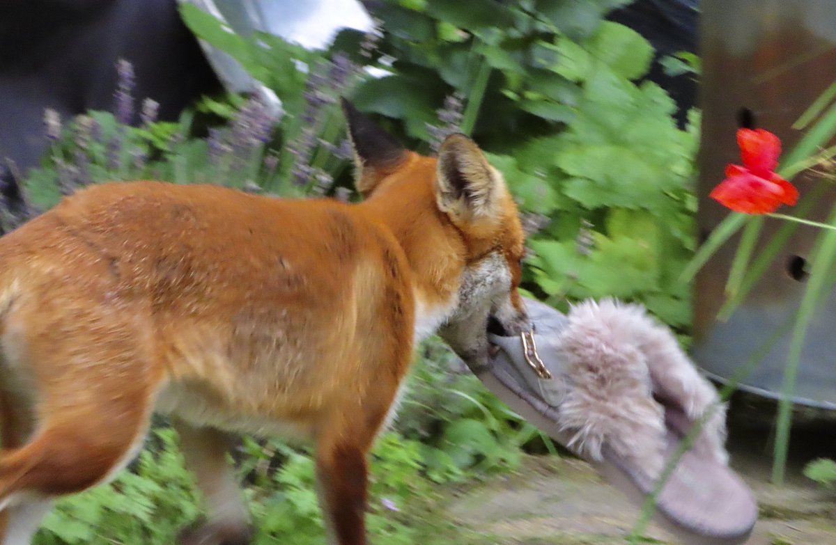 Nicholas Dunbar tweet media