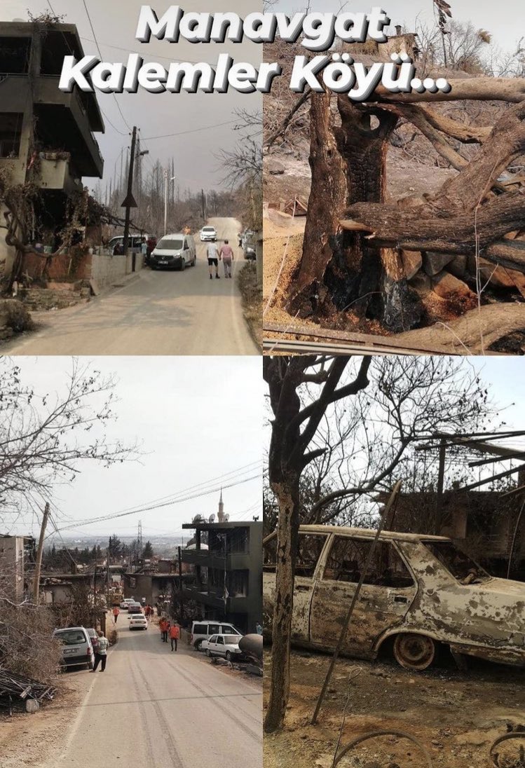 Cennet şehrim cayır cayır yanıyor 
Herkes üç maymunu oynuyor