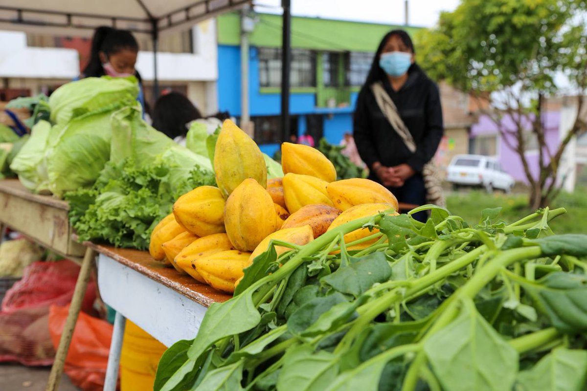 alcaldiapasto's tweet image. Aplaudimos las iniciativas ciudadanas y apoyamos su realización.

Se desarrolla la feria de intercambio, trueque y mercado campesino en Gualmatán, el Alcalde @GERMANCHAMORRO1 y la Secretaría de Agricultura respaldan estas iniciativas que ofrecen alimentos frescos y saludables.