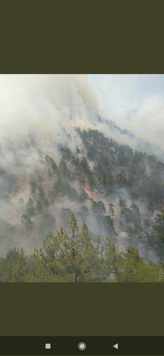 Siz #atesincocuklar iseniz, bizde Allah'ın kulları Hz. Adem'in çocuklarıyız. Sıkıntı Yok.