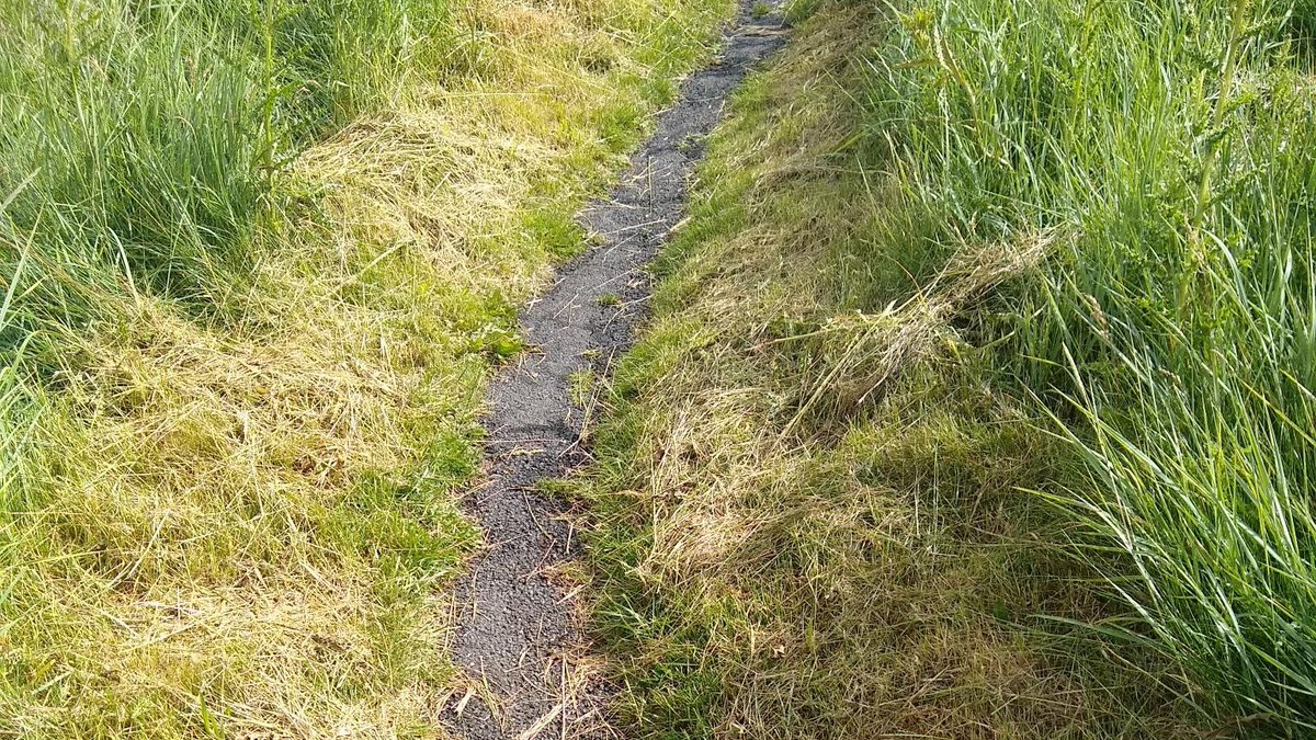 StefanieGray01's tweet photo. *VOLUNTEERING OPPORTUNITY* Monday 2nd Aug 4-5.30pm, Sunny Slopes, Heysham. All tools provided.
The Friends have started to meet regularly to widen the paths, and as you can see it is making a huge difference. Please come and join us. #ManyHandsMakeLightWork #MillonDollarView https://t.co/GbOPN9Moov