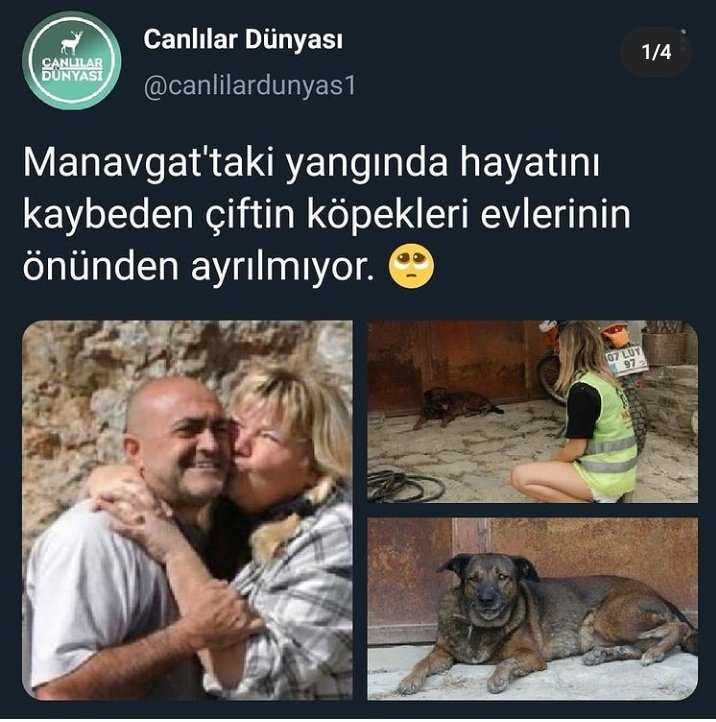 Paramparçayım😭 #Şahan #Gökbakar #Ölmüş #havadanmudahaleistiyoruz #ahaber