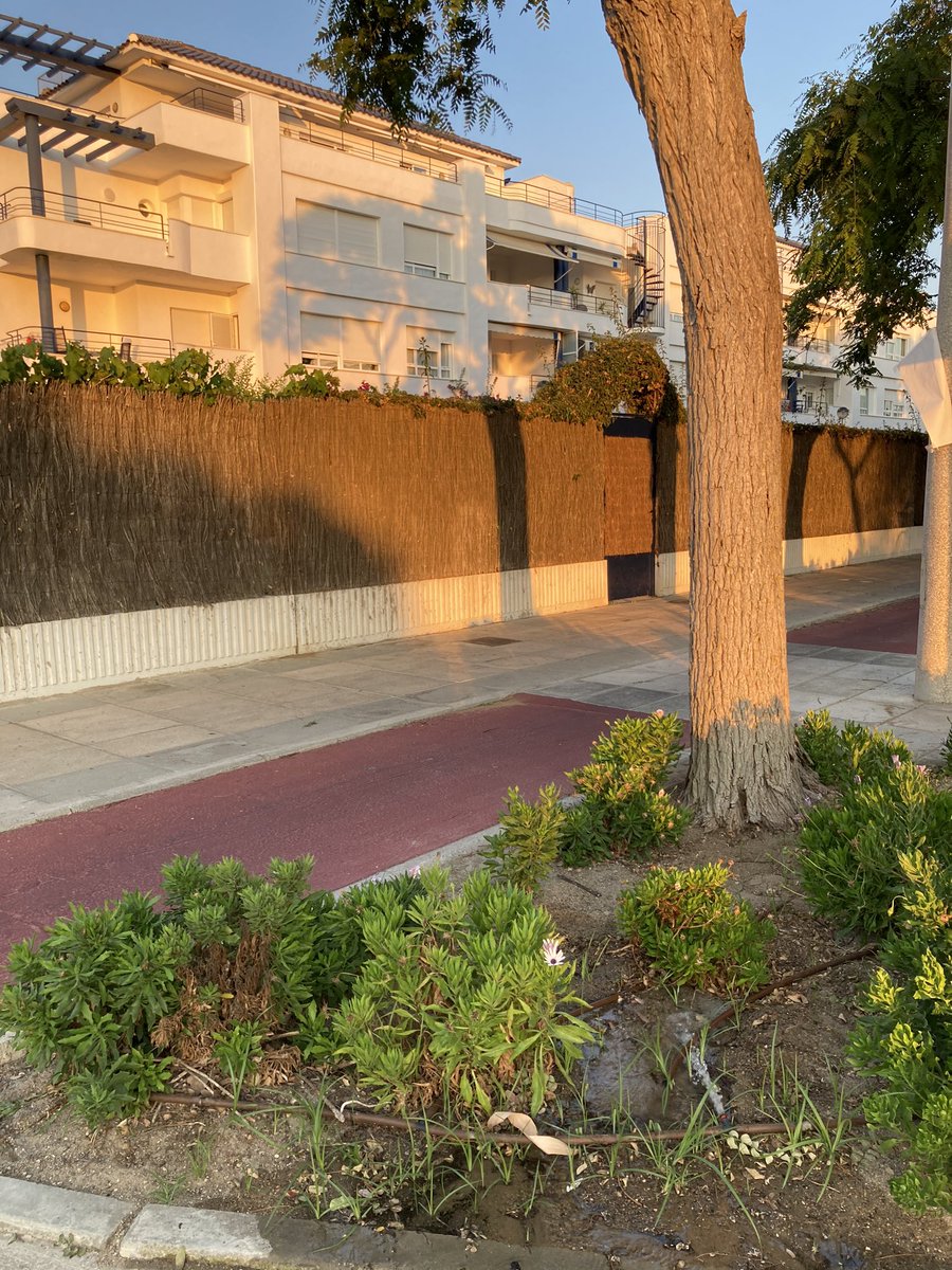 Beatriz Mayor tweet media