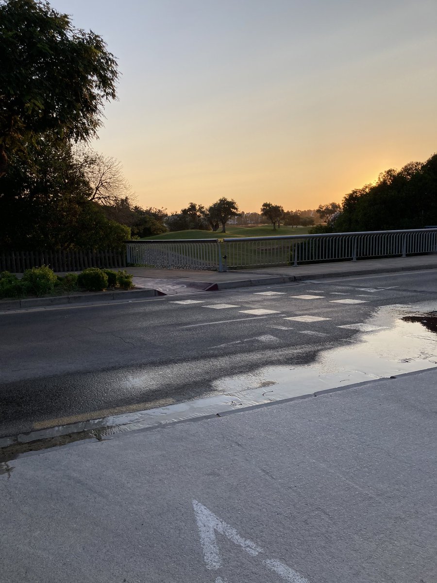 Beatriz Mayor tweet media