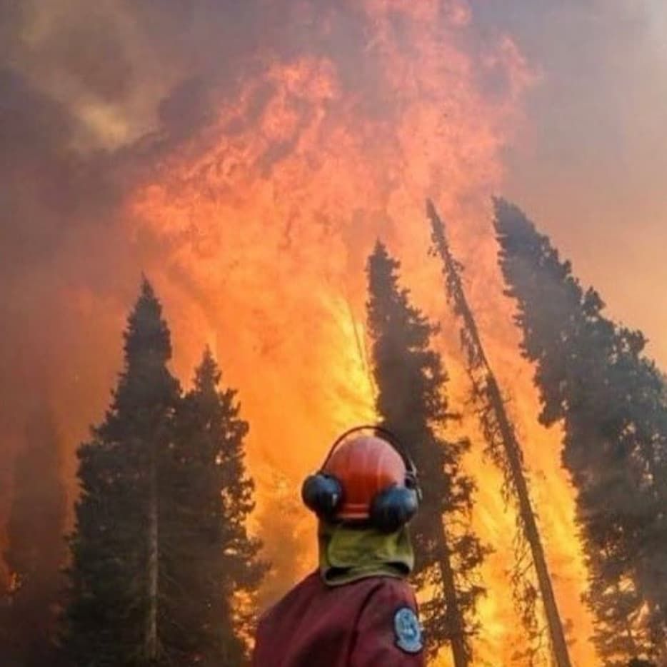 #YeşilVatan için canını ortaya koyan koca yürekli #OrmanınKahramanları'mıza Allah'tan rahmet diliyorum. Ruhları şad mekanları cennet olsun. Başımız sağ olsun.
#Mersin #Adana #Marmaris #Manavgat #Muğla #Osmaniye