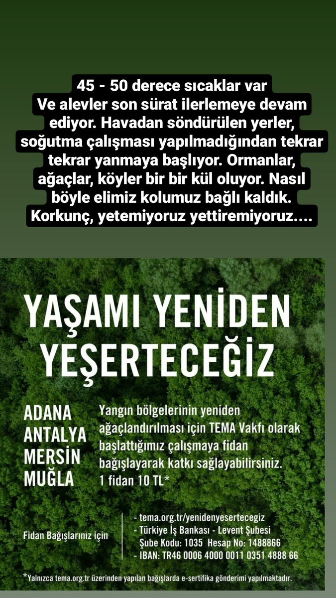 Canan Morgül Köse (@cananmorgul) on Twitter photo 