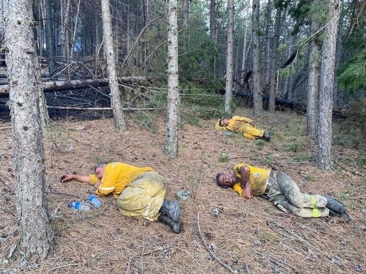 Ailelerinden, hayatlarından vazgeçercesine gecesini gündüzüne katarak çalışan #OrmanınKahramanları 
sizlerin hakkı ödenmez. 
Minnettarız…