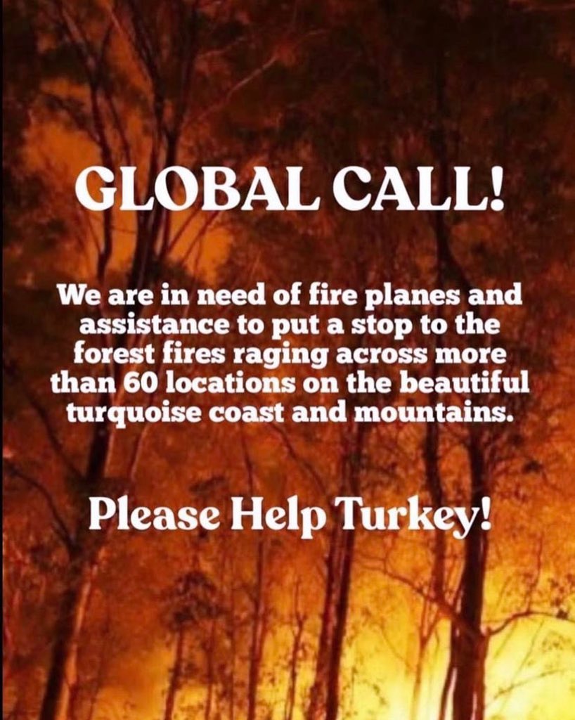 🚨I am calling all the countries who can help us. We are perished and devastated with the total 112 fires. The ones that we can’t stop are still going so strong. We dont have enough fire fighting planes to stop it #helpTurkey