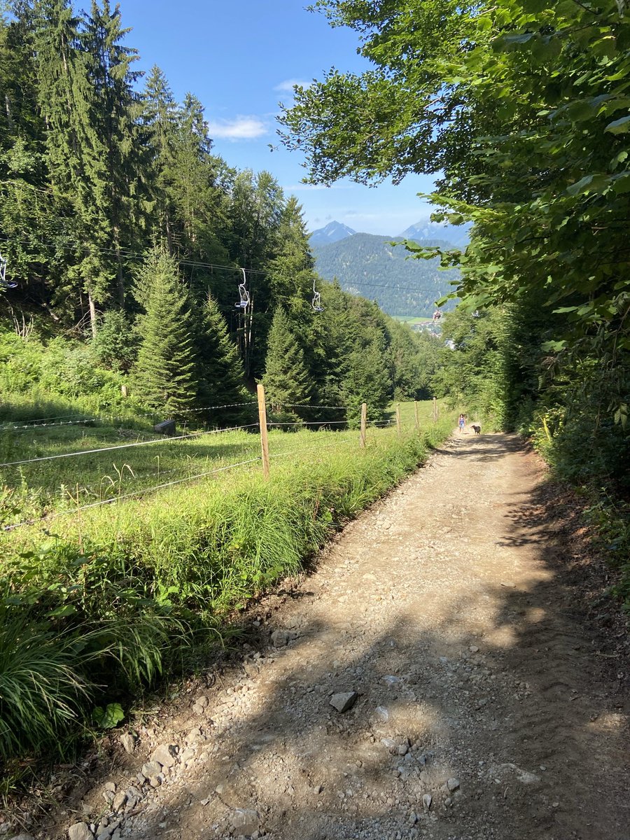 Jan Engels tweet media