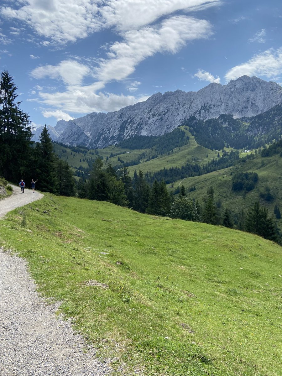 Jan Engels tweet media