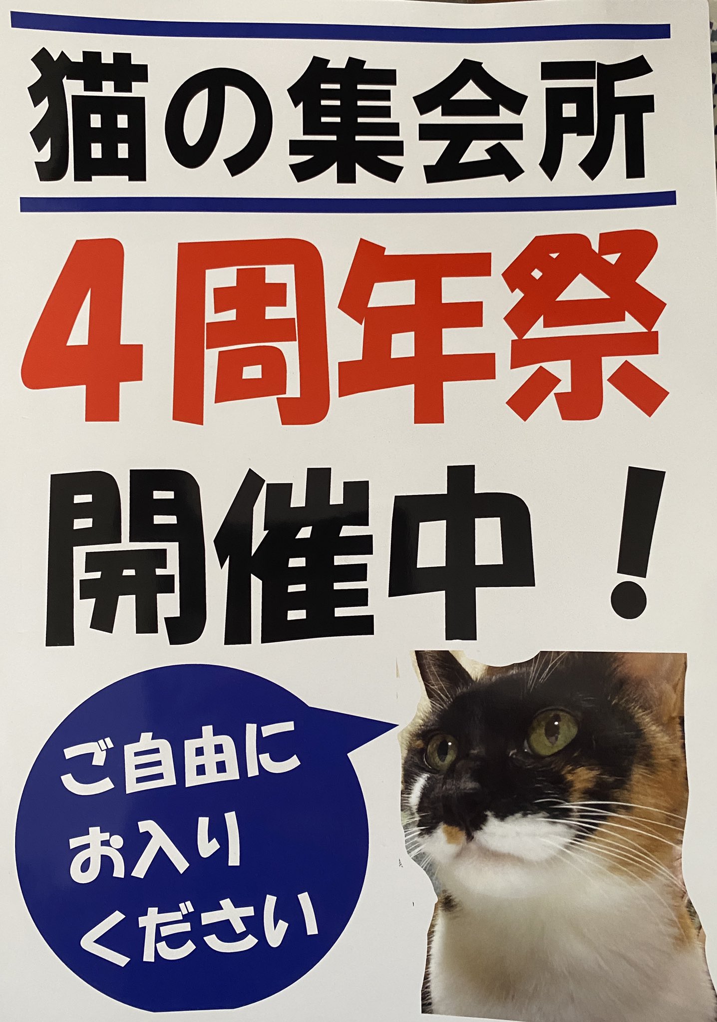 猫の集会所 今日も暑い仙台 感謝sale 実施中です お立ち寄りいただけたら嬉しいで す 猫グッズ ハンドメイド 仙台泉 猫作家作品 T Co Hbw2gyqhrv Twitter