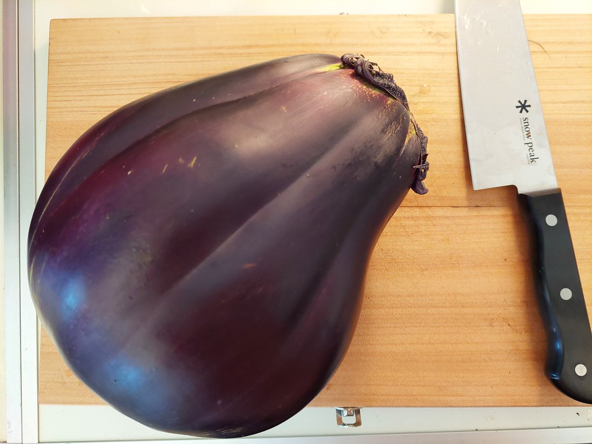 Fuuka Ff11おでん鯖 実家帰ったら祖母が山ほど野菜くれるんだけどちょくちょくサイズがおかしい 左のやつはズッキーニwww