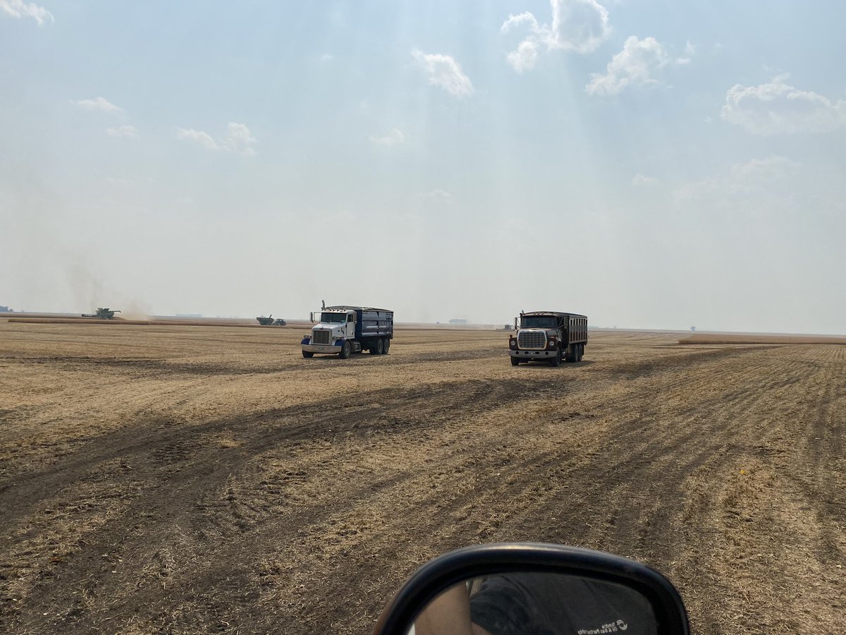 She’s go time… CDC Forest looking great!