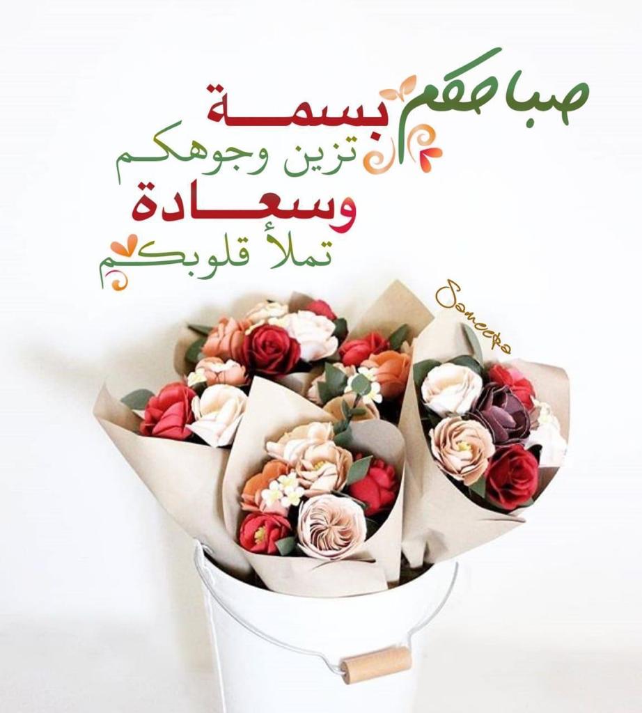prncisaa's tweet photo. https://t.co/IjeTCDXPLi