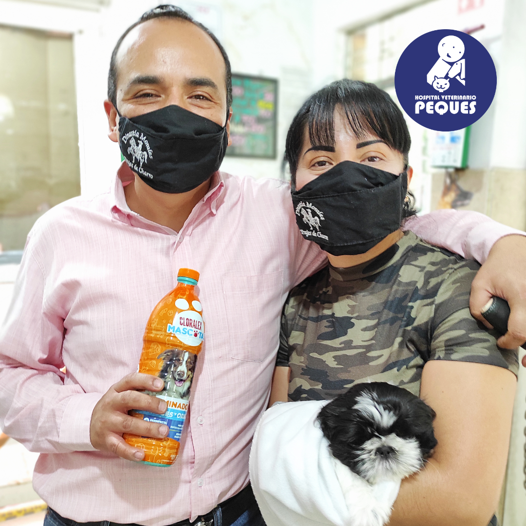 Hospitalpeques's tweet photo. Estuvimos entregando los obsequios que nos dejó la Brigada de Limpieza Cloralex Mascotas. #HospitalVeterinarioPeques https://t.co/o1hTqZkh0Q