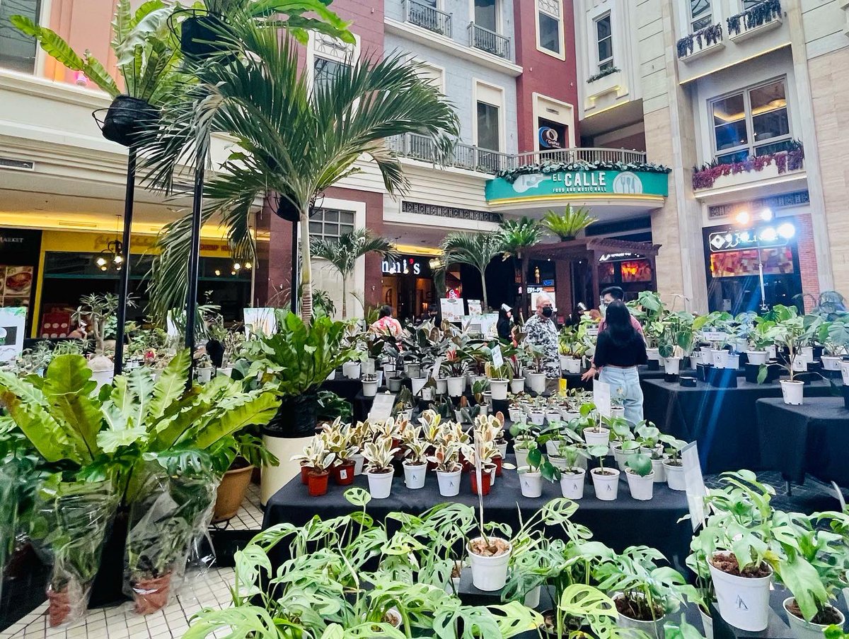Painting the town green with Garden and Art Festival at #NewportMall 💚

Visit us at 2F, The Plaza until Aug 2! 🪴🎨

#MegaworldLifestyleMalls #RWManila #AridAndAroids #AA #Plantdemic #Plant #Art