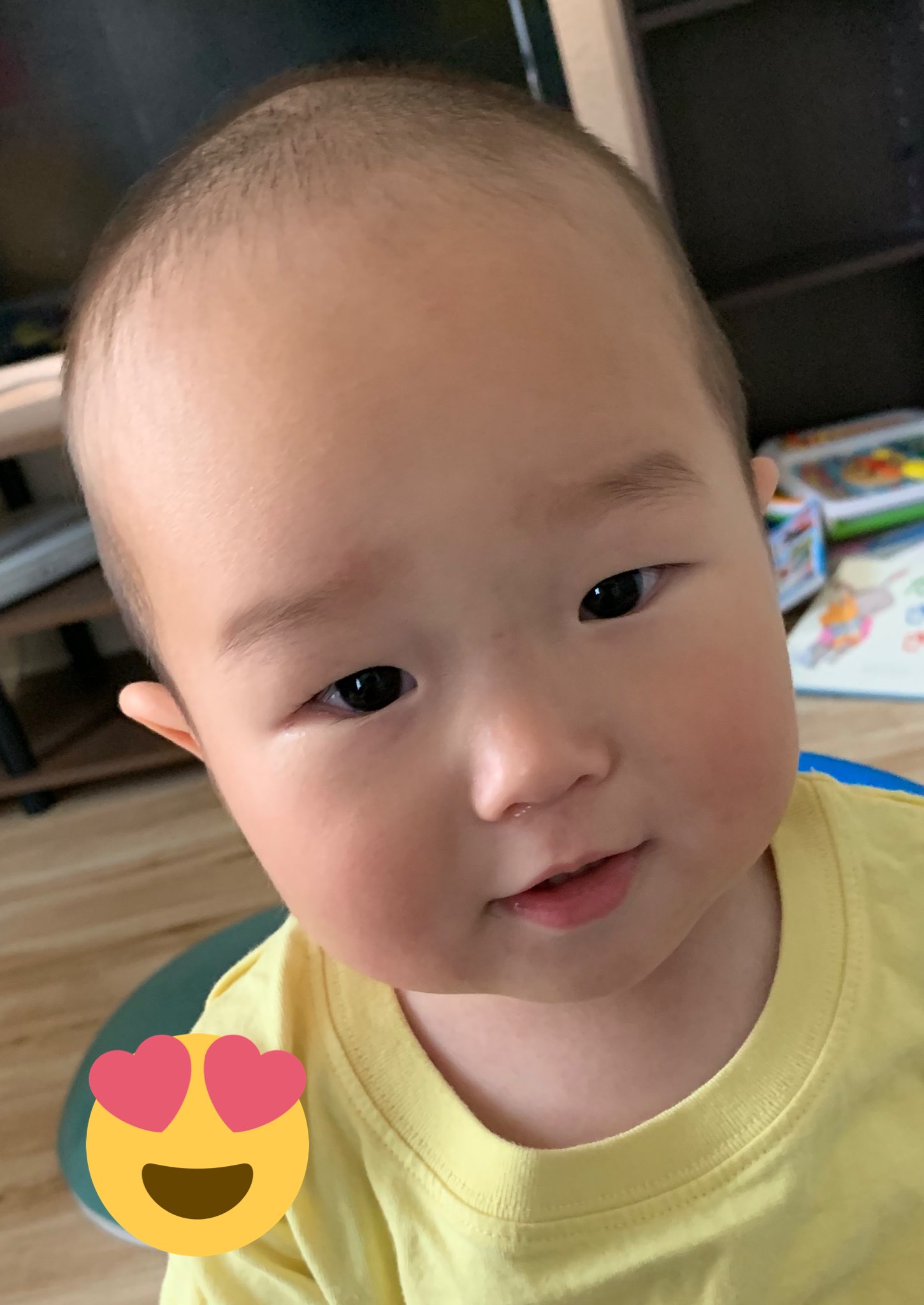 坊主デビュー Twitter Search Twitter