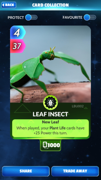 DeanMage's tweet photo. @CUE_Cards After a long and grueling quest through treacherous lands and facing unspoken horrors, I have completed the dream I have chased for too long. I have a 1000 Leaf Insect army! Now I shall turn my army on CUE, and shall take it over! MWA HA HA HA HA HA HA https://t.co/Up8O6u6Xiy