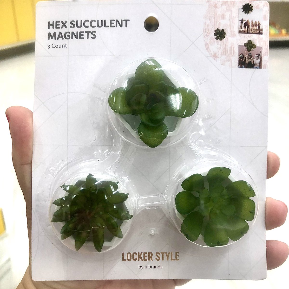 PHerediaEDU's tweet photo. Part 2 classroom shopping... @Target ! How stinkin cute are these plant magnets?? π Loving the transparent calendars. These definitely made me feel better about not finding the bins I wanted. π€ͺ
#simplyboho #targetteacher https://t.co/Q1wgXuYCkQ