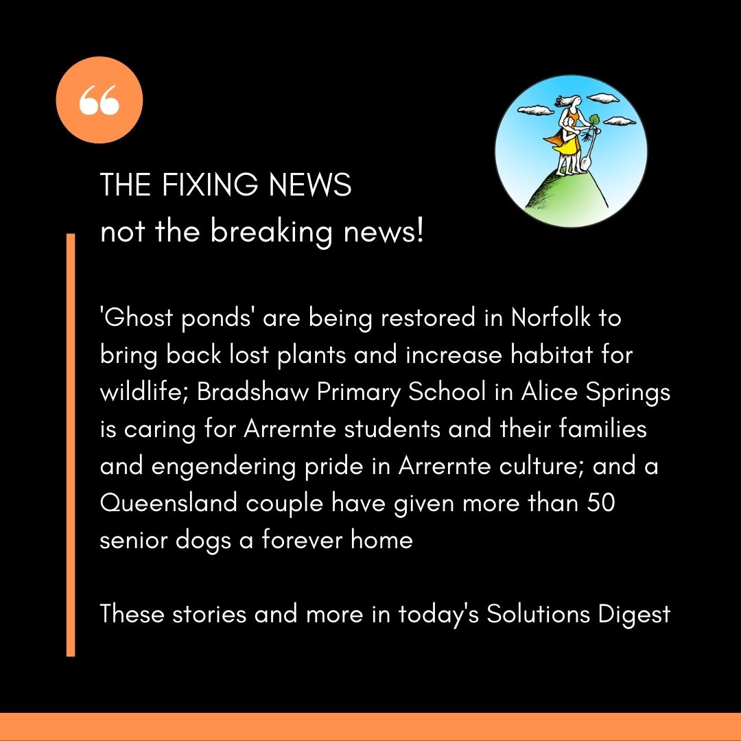 TheBigFixNews's tweet photo. What's so overwhelmingly beautiful about the stories I've highlighted today is their overt expression of care and love for all life.

These stories and more in today's Solutions Digest: https://t.co/gwT0AQqjgW https://t.co/WNMhfZpY7g