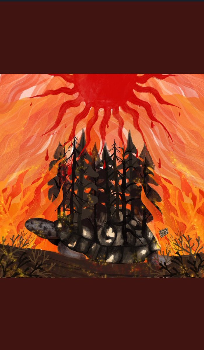 #helpturkey  #helpforturkey  #Turkeyisburning  #havadanmuedahaleistiyoruz  
#PrayForTurkey