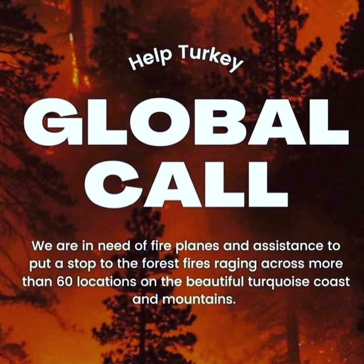 🚨I am calling all the countries who can help us. We are perished and devastated with the total 112 fires. The ones that we can’t stop are still going so strong. We dont have enough fire fighting planes to stop it #HelpTurkey #Turkeyisburning