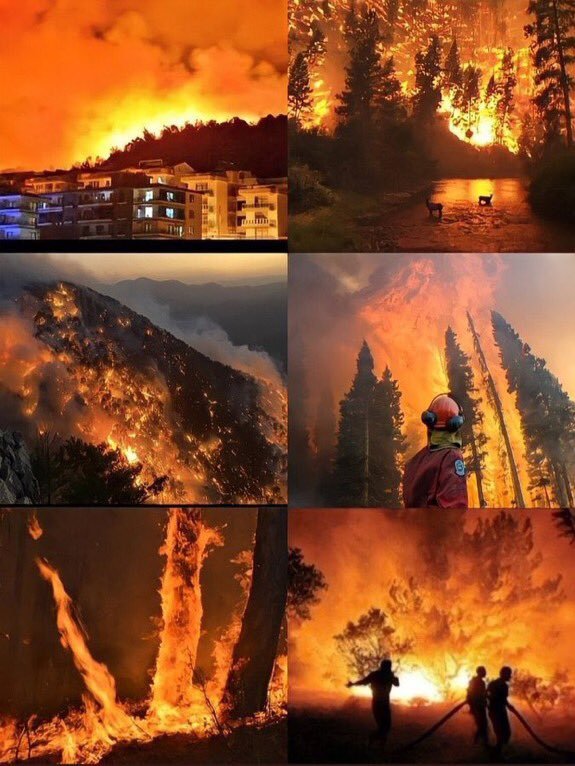 İnsanlar, hayvanlar, ağaçlar ölüyor.
Bize yardım edin.
#helpturkey