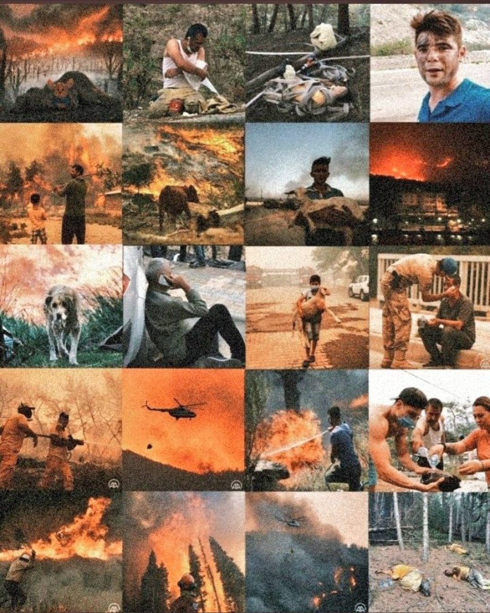 Durum çok ciddi bi hâl alıyor, söndürme çalışmaları yetersiz kalıyor. 
#havadanmüdahaleistiyoruz lütfen bu duruma sessiz kalmayın! 
#helpturkey