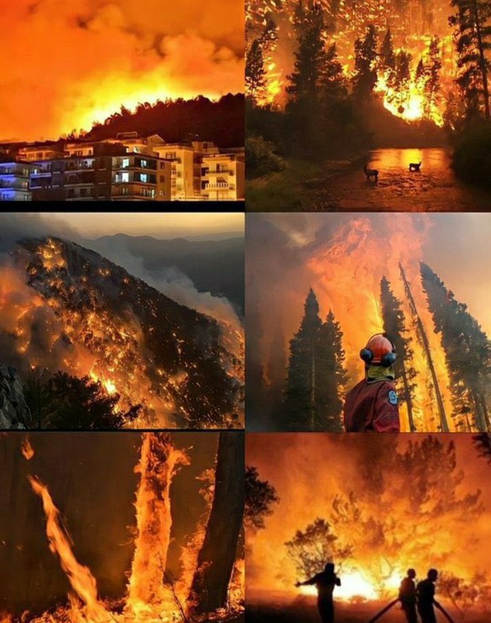 Vicdan sahibi hiçbir insan bu olanlara kayıtsız kalmaz, kalamaz. Kalmamalı! #helpturkey