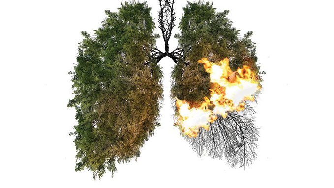 Ciğerlerimiz yanıyor, geleceğimiz yanıyor.. #helpturkey