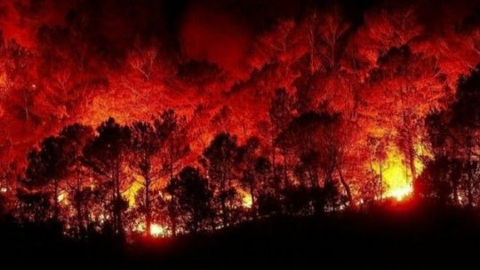 Arkadaşlar durum çok ciddi geleceğimiz yanıyor lütfen destek verin #helpturkey