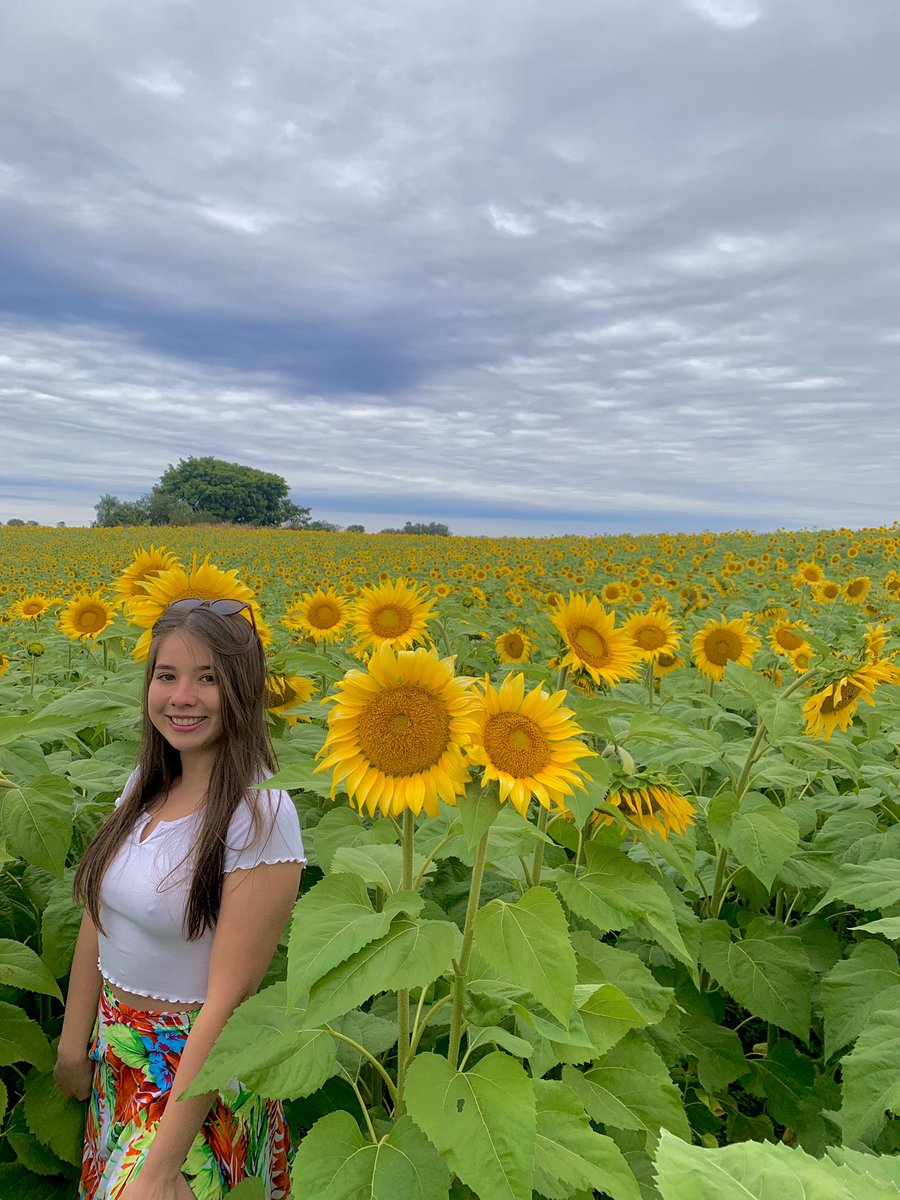 shanonmilena's tweet photo. Amando cada pétalo de este lugar 🌻 https://t.co/WHLIB3ngWH