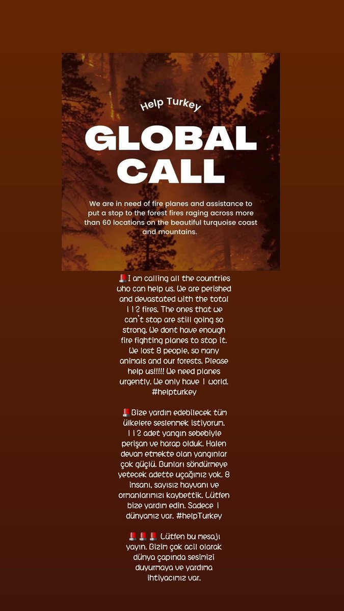gayeglr's tweet photo. 🚨I am calling all the countries who can help us. We are perished and devastated with the total 112 fires. The ones that we can’t stop are still going so strong. We dont have enough fire fighting planes to stop it. We lost 8 people, so many animals and our forests.  #helpturkey https://t.co/XIJo0jC7fU