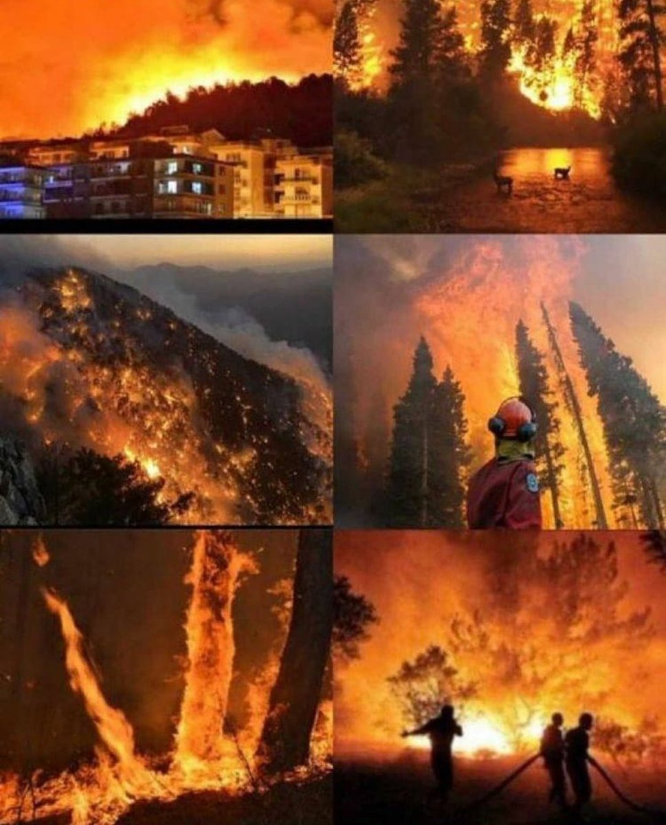 Dont just watch this.Dont just worry
 Dont just be angry. please #helpturkey