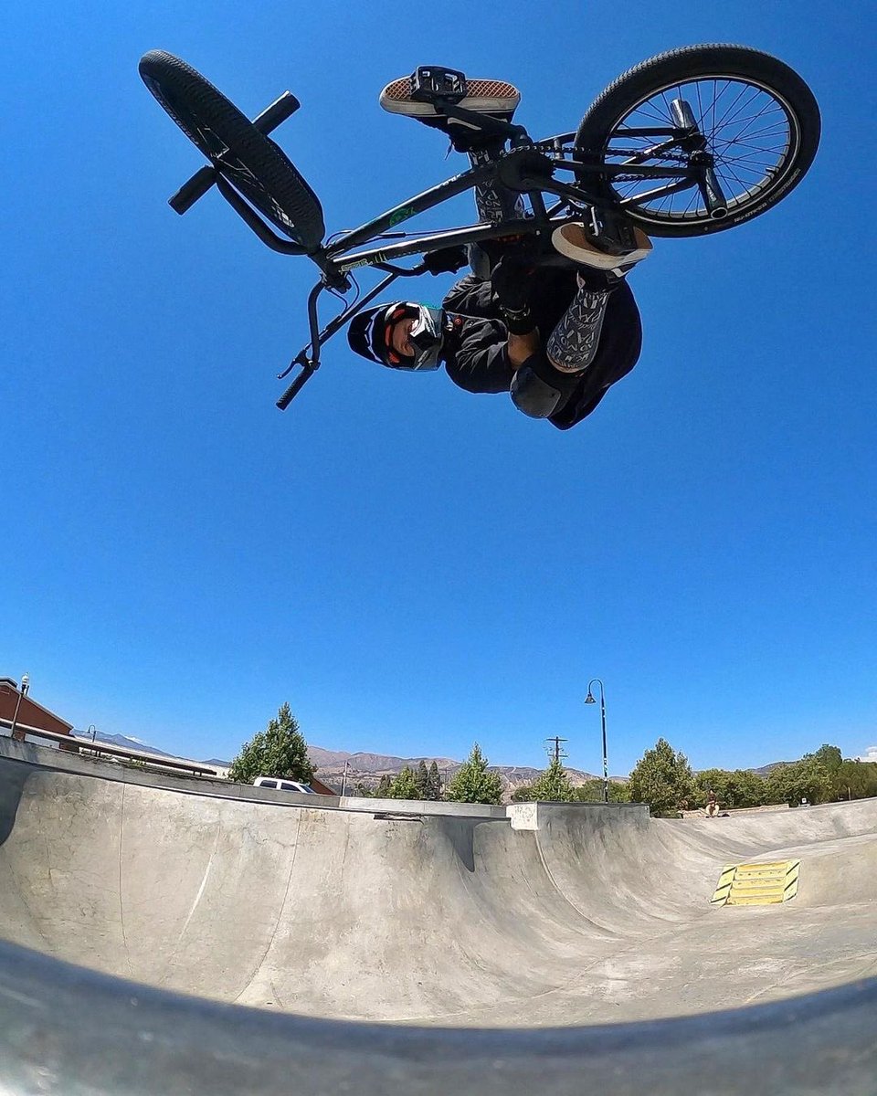 Neuro XPF tweet media