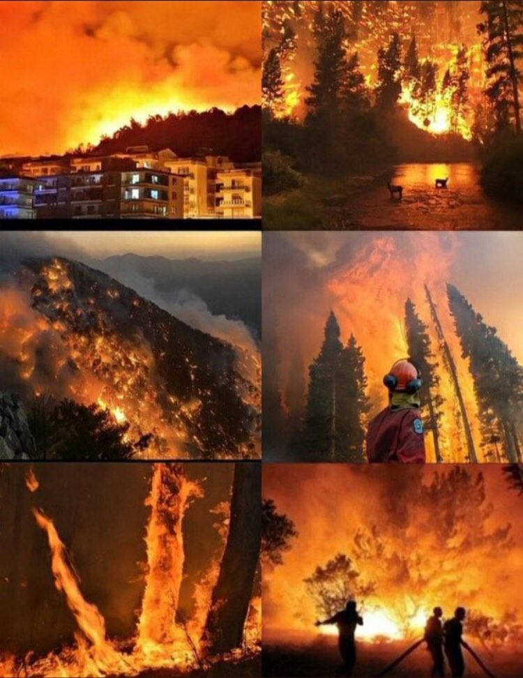 #helpturkey please protect nature.