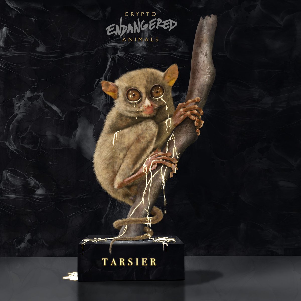 Malunft's tweet photo. @CedsSim @Ghxsts Introducing the “Crypto Endangered Animals” collection.
The goal is to spread awareness of animals that are close to extinction.
I’m starting with Baby-Yoda look alike, the sensitive and cute Tarcier.
Take a look and help save them.
https://t.co/V8tk8UZibu https://t.co/ohGGJ2GhTi