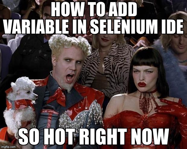 overflow_meme's tweet image. How to add variable in selenium ide stackoverflow.com/questions/6861… #seleniumide #imacros #selenium #seleniumgrid