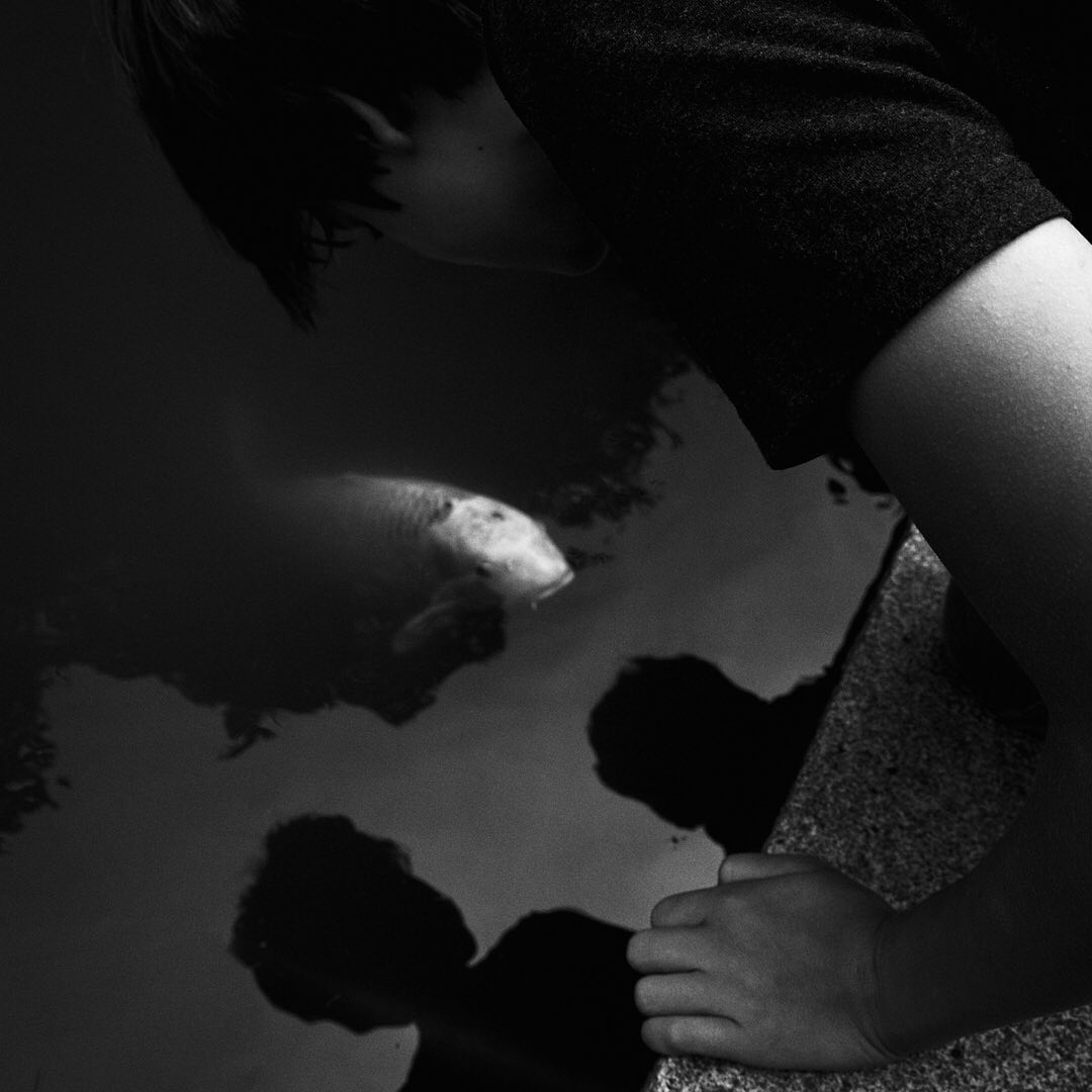 mapbliss's tweet photo. Boys watching Koi fish, koi watching boys. SF JapaneseTea Garden.
#bnw_amateurs #blackandwhitephotography #blackandwhitephotographymag
#monochrome #monoart #loves_bnw #bnw_life #bnw_magazine
#filmlook #minimalism #intimatelandscape #minimalnature #ndmagazine
#sfchasers #sanfra https://t.co/eSrcGryMQu