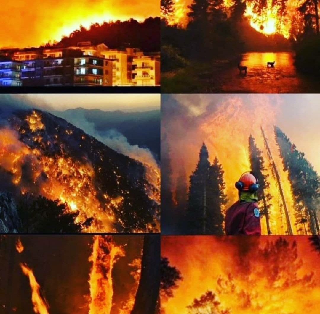 HafizaZeyn's tweet photo. World, you should see it. Turkey is on fire, our world is on fire. Turkey needs help!
#helpturkey https://t.co/mM5iewfPVX