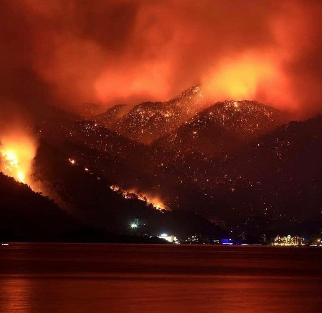 I'm calling out to the whole world: send all your firefighting planes, whatever the cost, as the Turkish people, we will gather among us and pay you back, I promise! #helpturkey