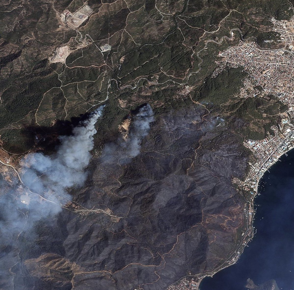 Yaktığınız her ağaç için cayır cayır yanacaksınız! Hem bu dünyada hem de öbür dünyada!! #AtesinCocuklari #helpturkey