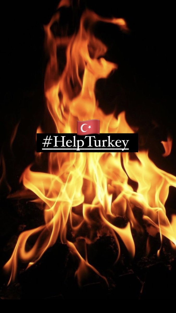 WE NEED HELP