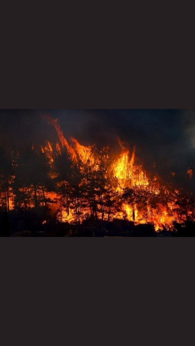 Biz bu beladan da kurtuluruz elbet ama siz ,bunlara sebep olanlar; iki cihanda da bahar yüzü göremeyeceksiniz!
#helpturkey