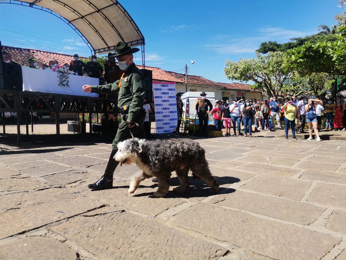 PoliciaStander's tweet photo. #EsUnHonorSerPolicía | En el municipio de Galán #Santander, con nuestros @CarabinerosCol realizamos show canino🐶fortaleciendo lasos de amistad y acercamiento a la comunidad. #ConstruirConvivencia https://t.co/kArZwrXwQe