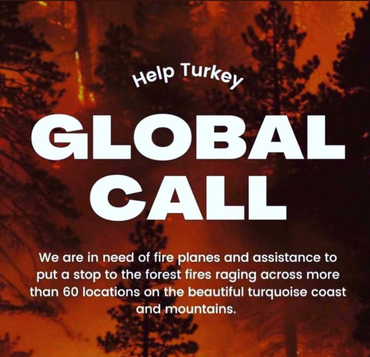 Gokcesinarr's tweet photo. #helpturkey https://t.co/ZnqJTue2LE