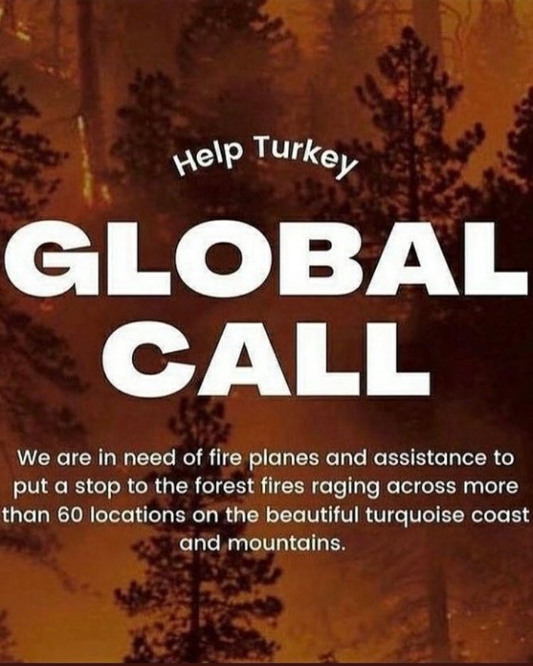 🚨 I am calling all the countries who can help us.We are perished and devastated with the total 112 fires. The ones that we can’t stop are still going so strong. We dont have enough fire fighting planes to stop it. We lost 8 people, so many animals and our forests#HelpTurkey