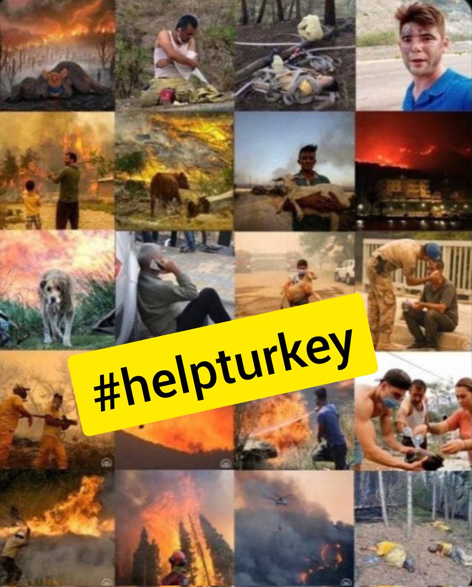cakir9856's tweet photo. Başımıza gelebilecek afetler için harcamamız gereken paraları saraylara, özel uçaklara, makam arabalarına, doğa katliamına, otoyollara, geçiş garantili köprülere, yandaşlara, betonlara harcadığımız için üzgünüz.. 

Please #helpturkey yoksa komple yanacağız.. https://t.co/oY1m2B9g6h