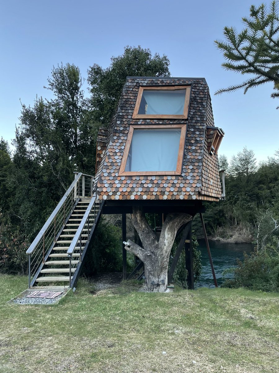 pucontours1's tweet photo. Una cabaña en el árbol 👌  
Conoce nuestra nueva propuesta para tus vacaciones de aventura en #pucon https://t.co/ycMsmhZt5D